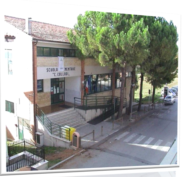 scuola primaria collodi